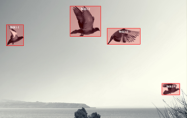 意昂5平台登录视频标注